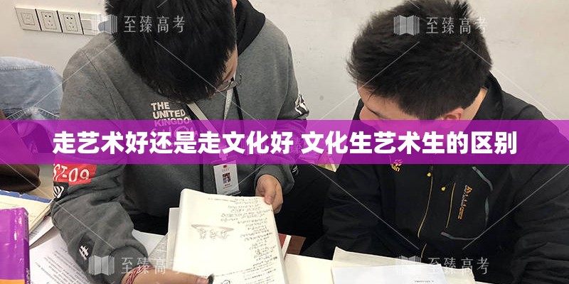 走艺术好还是走文化好 文化生艺术生的区别