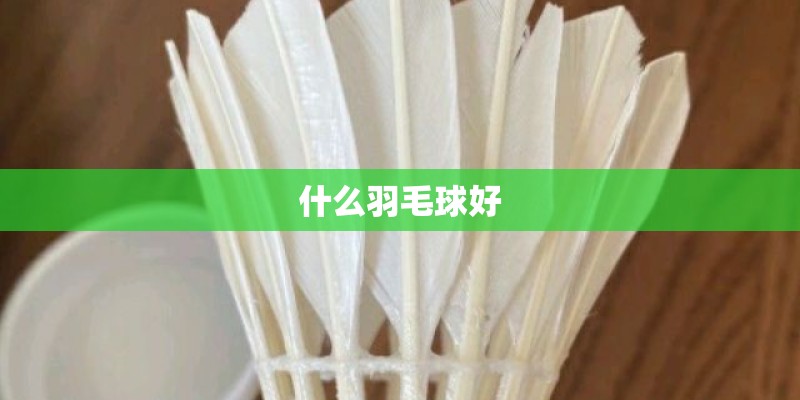 什么羽毛球好