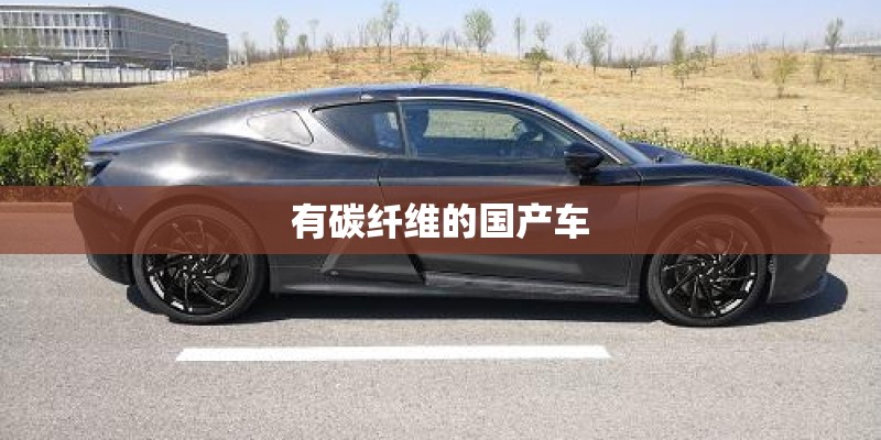 有碳纤维的国产车