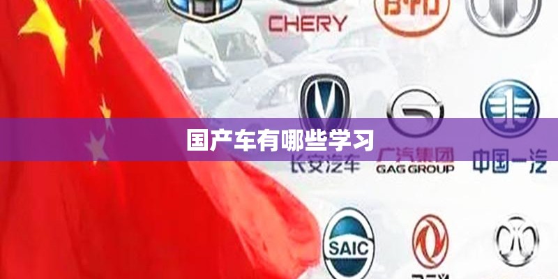 国产车有哪些学习