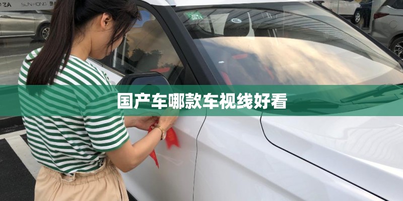 国产车哪款车视线好看