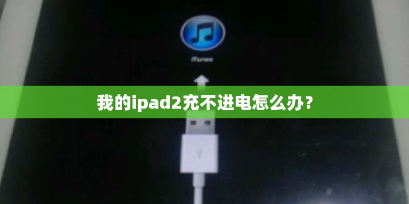 我的ipad2充不进电怎么办？