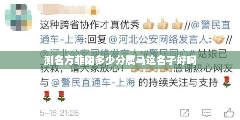 测名方菲阳多少分属马这名孑好吗