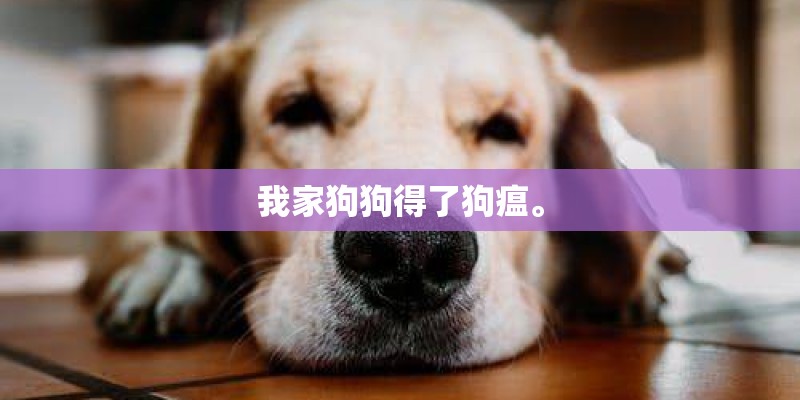 我家狗狗得了狗瘟。