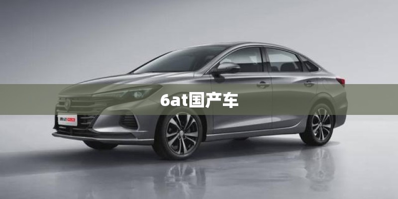 6at国产车
