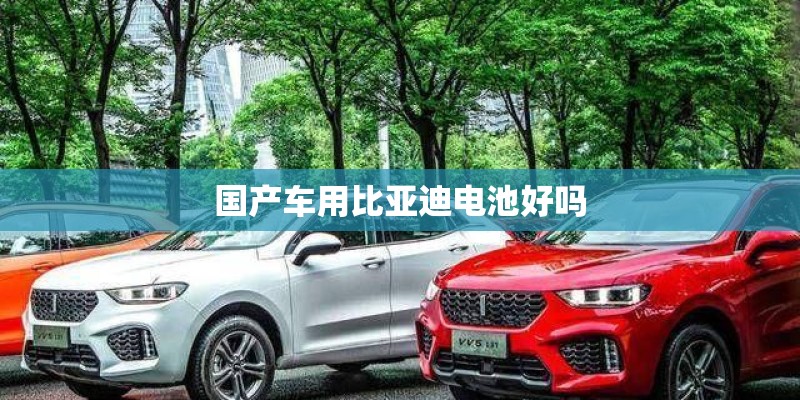国产车用比亚迪电池好吗