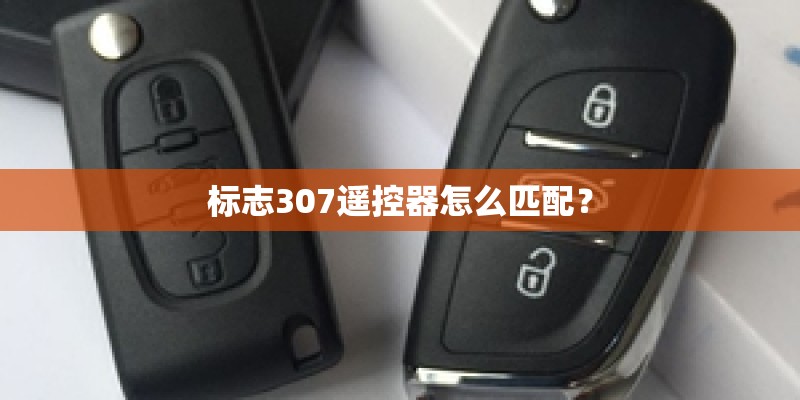 标志307遥控器怎么匹配？
