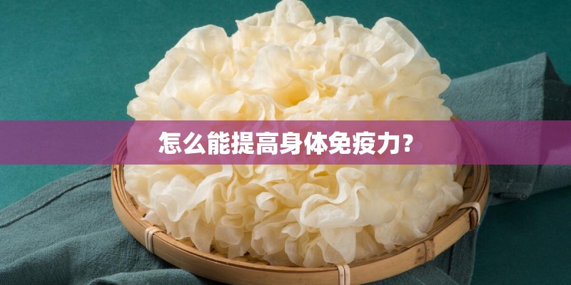 怎么能提高身体免疫力? 怎么能提高身体免疫力?