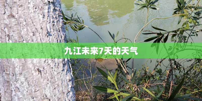 九江未来7天的天气
