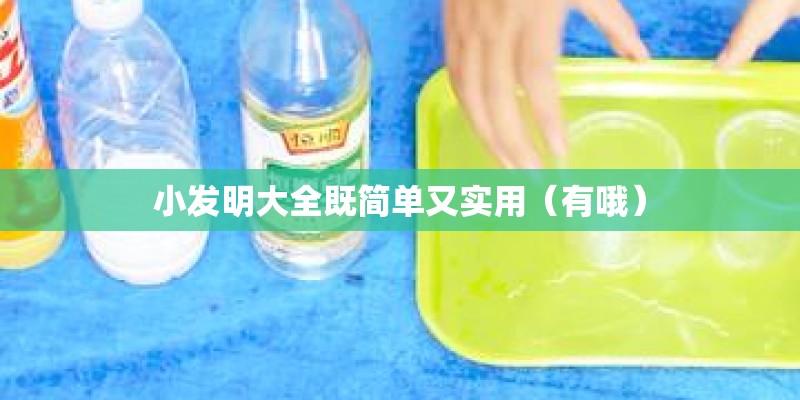 小发明大全既简单又实用(有哦) 小发明大全既简单又实用(有哦)