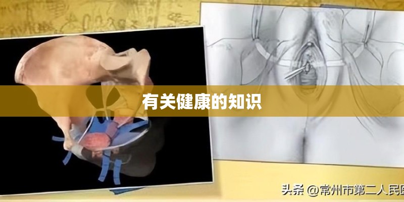 有关健康的知识 有关健康的知识
