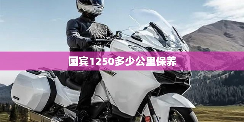 国宾1250多少公里保养