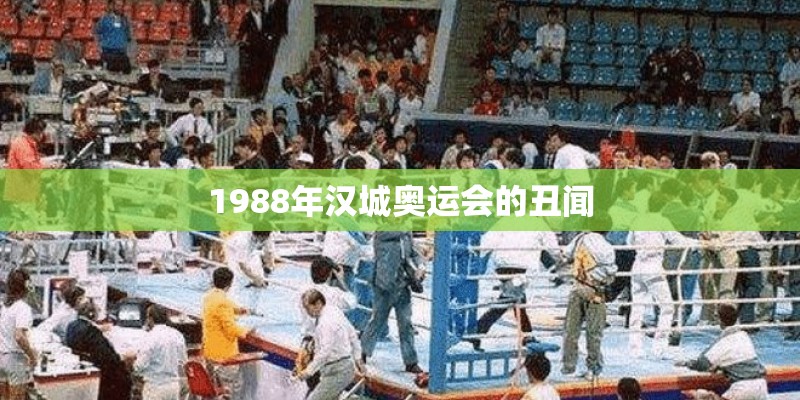 1988年汉城奥运会的丑闻