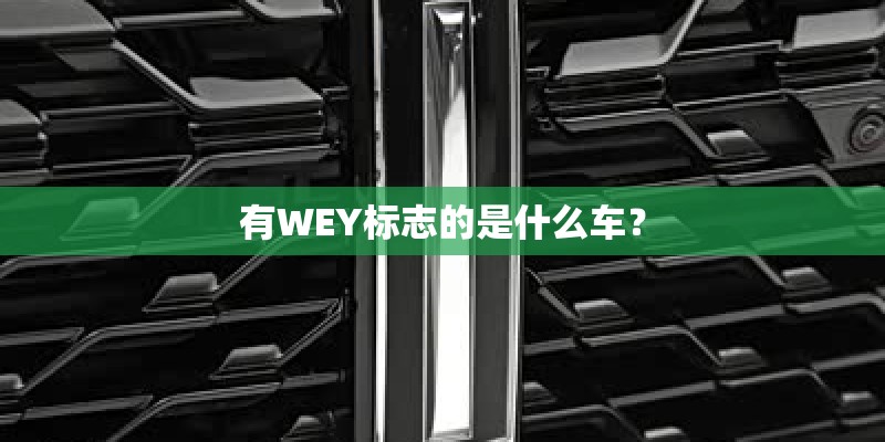 有WEY标志的是什么车? 有WEY标志的是什么车?