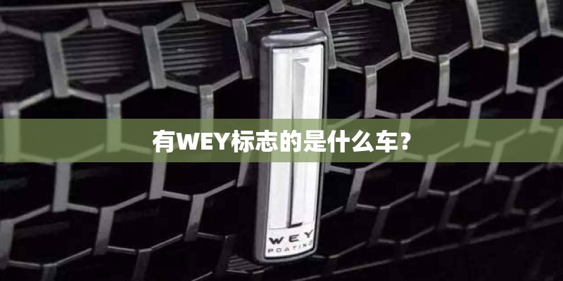 有WEY标志的是什么车? 有WEY标志的是什么车?