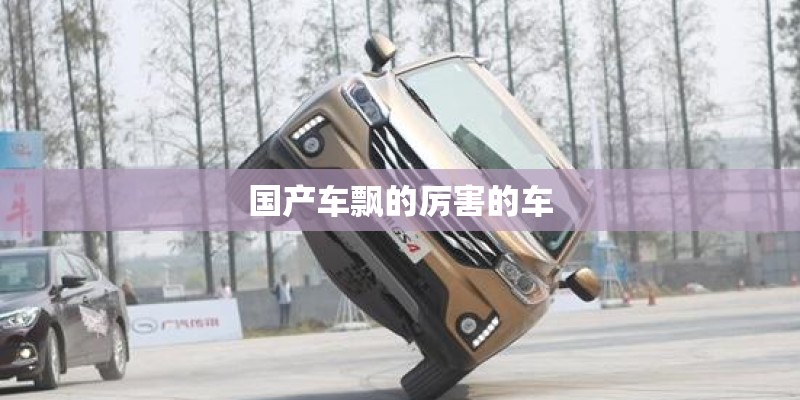 国产车飘的厉害的车 国产车飘的厉害的车