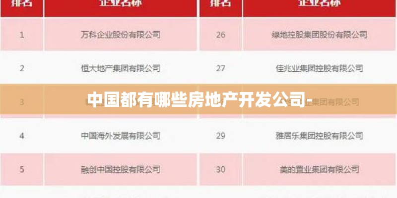 中国都有哪些房地产开发公司- 中国都有哪些房地产开发公司-
