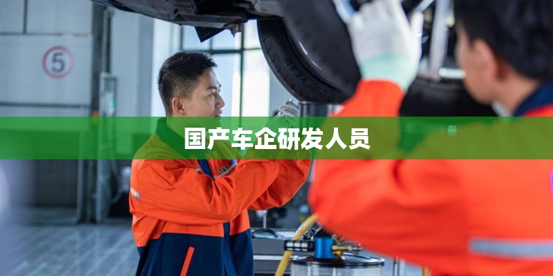 国产车企研发人员