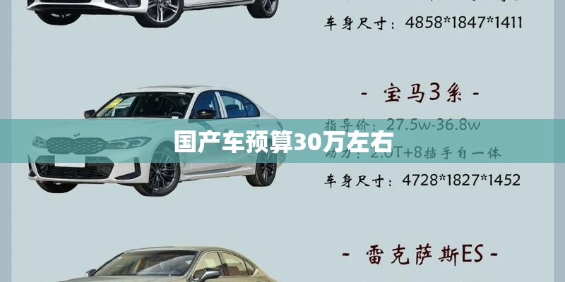 国产车预算30万左右 国产车预算30万左右