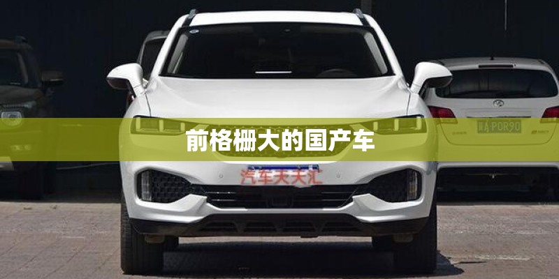 前格栅大的国产车 前格栅大的国产车
