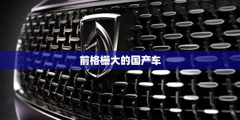 前格栅大的国产车 前格栅大的国产车