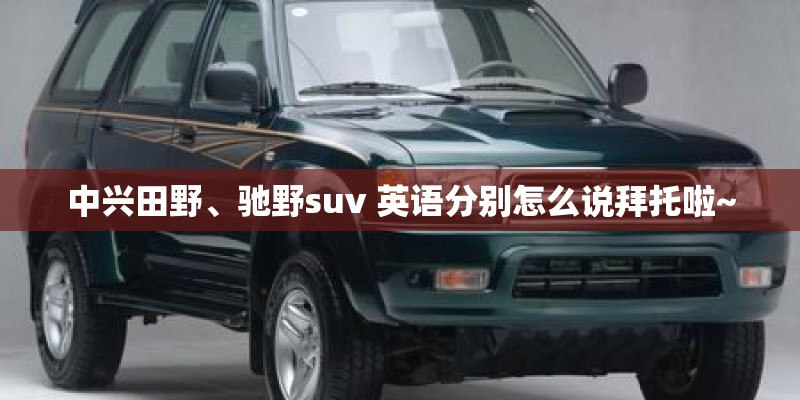 中兴田野、驰野suv 英语分别怎么说拜托啦~