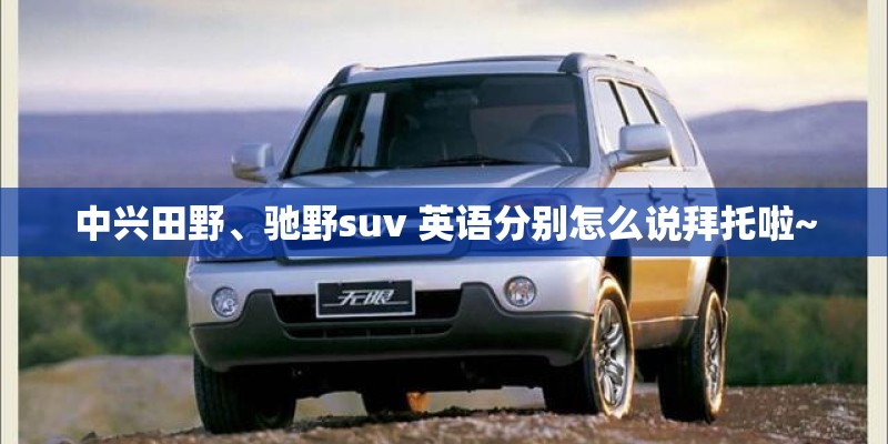 中兴田野、驰野suv 英语分别怎么说拜托啦~