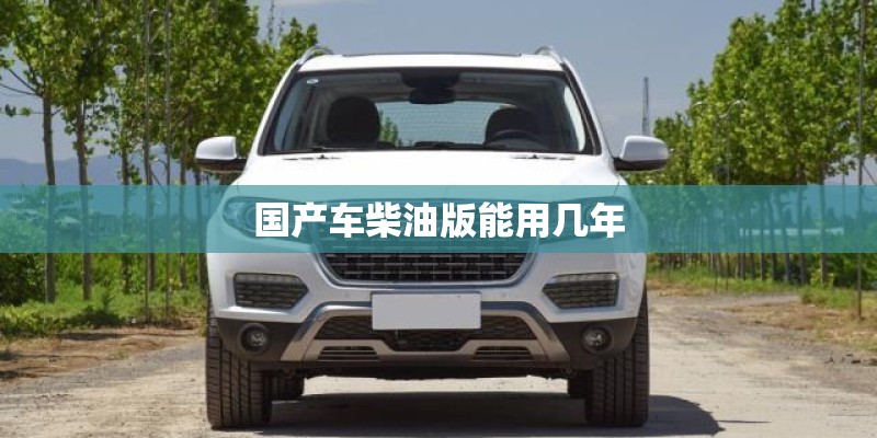 国产车柴油版能用几年