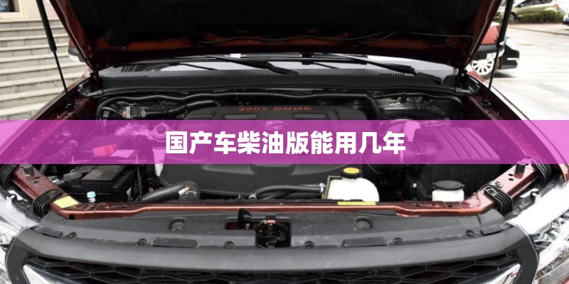 国产车柴油版能用几年