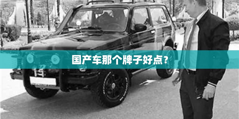 国产车那个牌子好点？