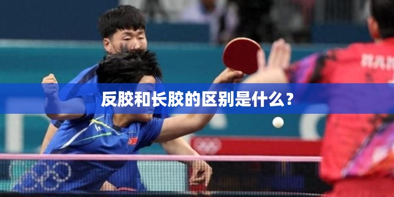 反胶和长胶的区别是什么？