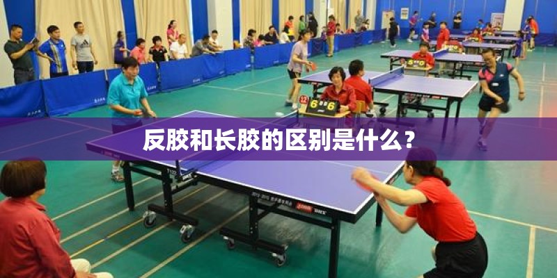 反胶和长胶的区别是什么？