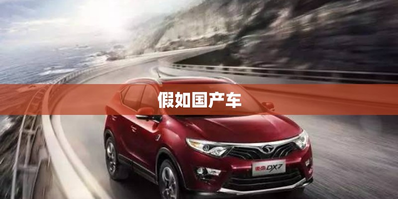 假如国产车
