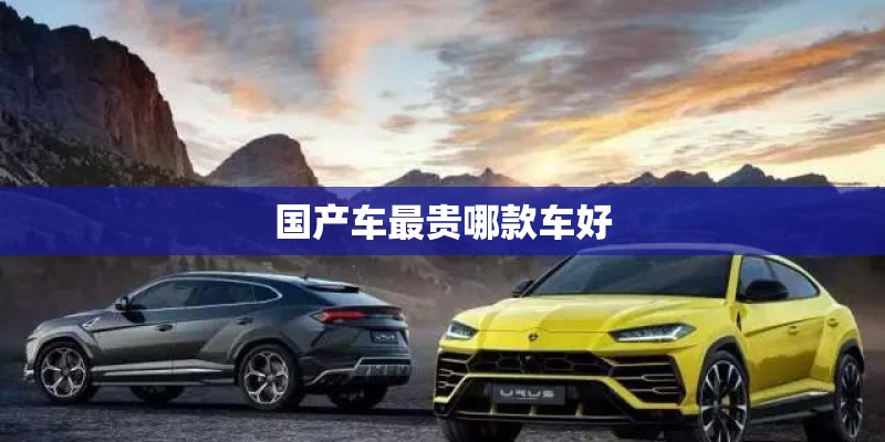国产车最贵哪款车好