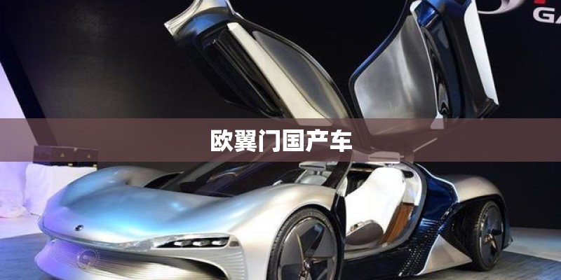 欧翼门国产车
