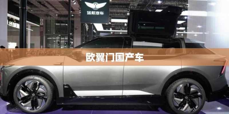 欧翼门国产车
