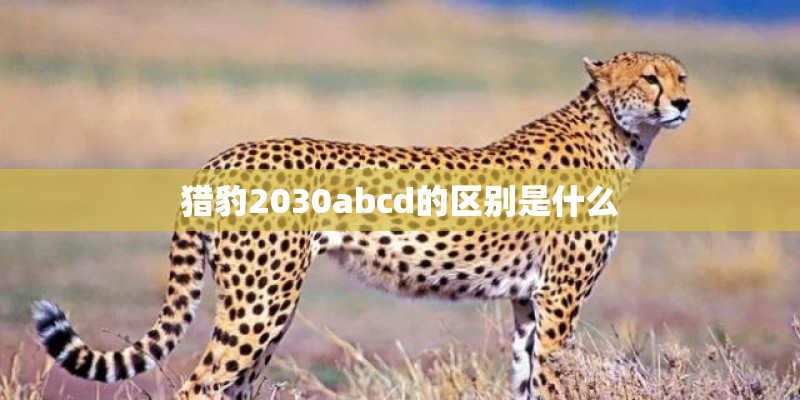 猎豹2030abcd的区别是什么