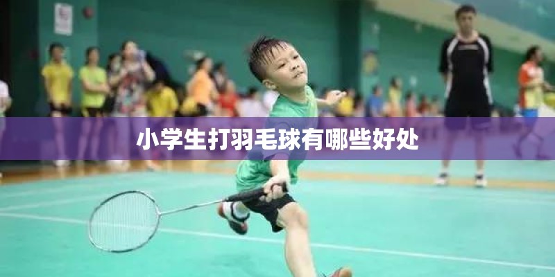 小学生打羽毛球有哪些好处