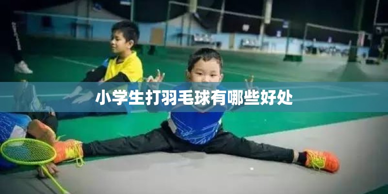 小学生打羽毛球有哪些好处