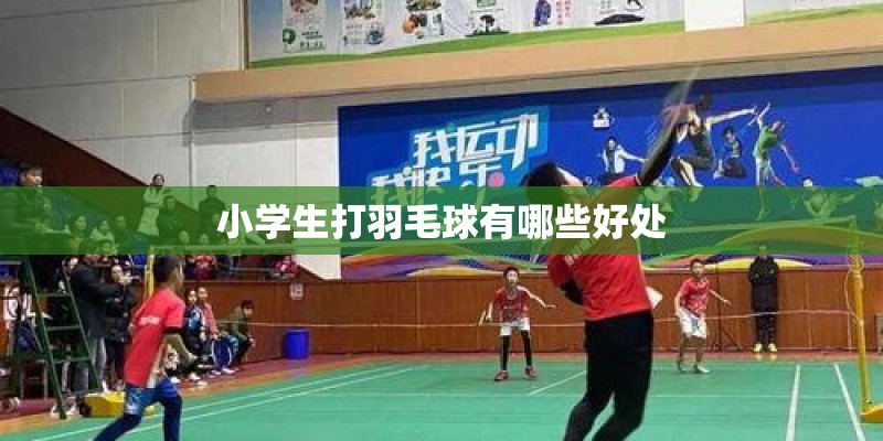 小学生打羽毛球有哪些好处