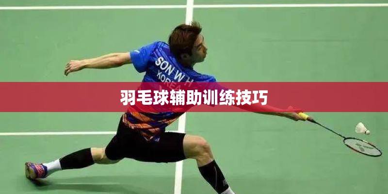 羽毛球辅助训练技巧