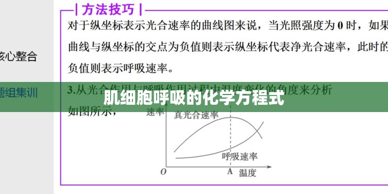 肌细胞呼吸的化学方程式