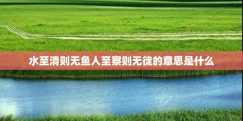 水至清则无鱼人至察则无徒的意思是什么