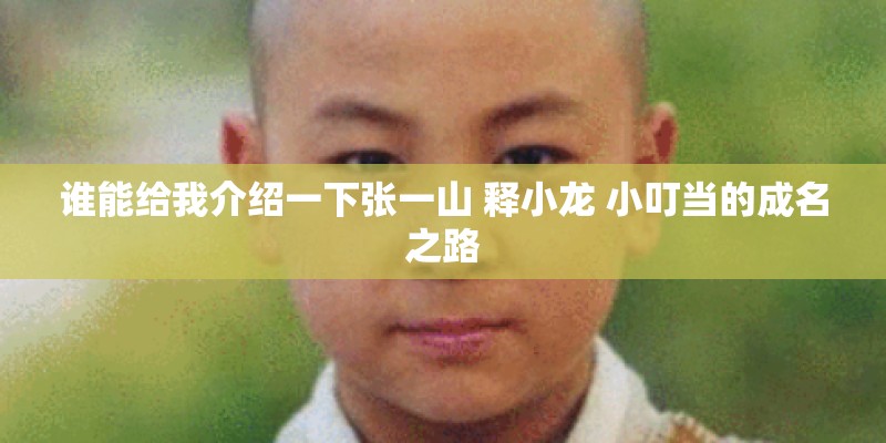 谁能给我介绍一下张一山 释小龙 小叮当的成名之路
