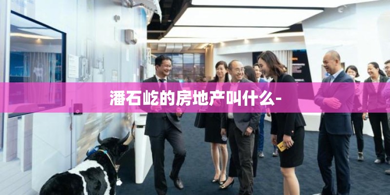 潘石屹的房地产叫什么-