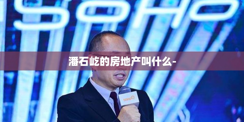 潘石屹的房地产叫什么-