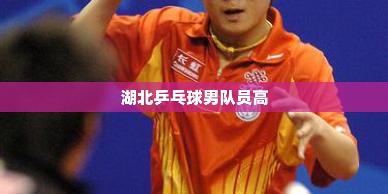 湖北乒乓球男队员高