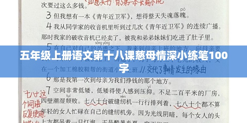 五年级上册语文第十八课慈母情深小练笔100字