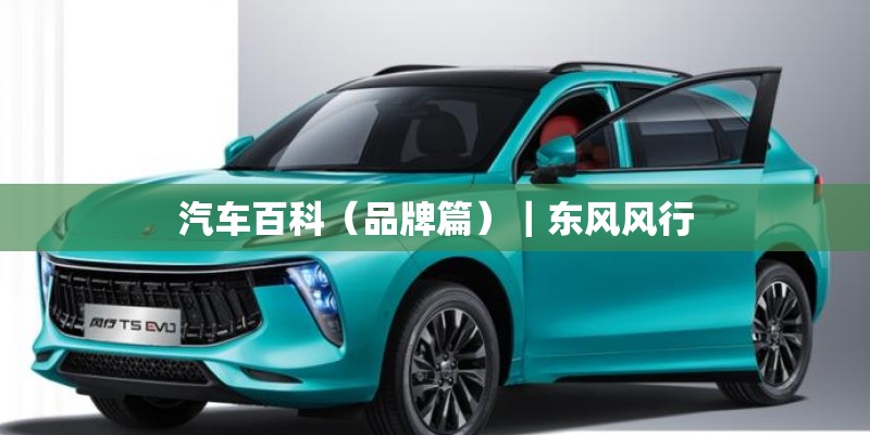 汽车百科（品牌篇）｜东风风行