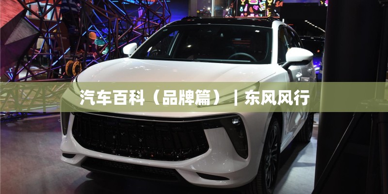 汽车百科(品牌篇)|东风风行 汽车百科(品牌篇)|东风风行